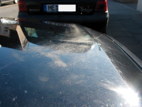 Im Sonnenlicht erkennt man den Bereich hartnäckiger Verunreinigungen auf der Motorhaube des BMW. 