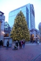 Weihnachtsbaum in Boston am Quincy Market. 