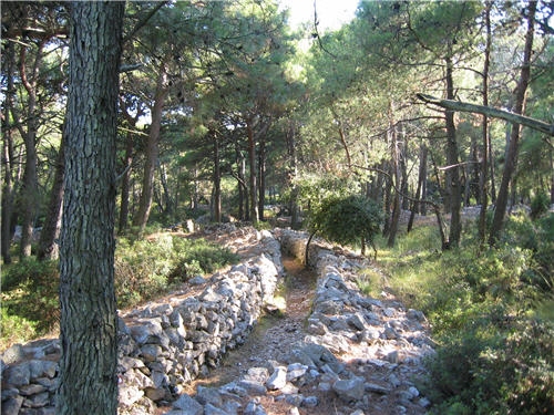 Ein mit Steinen begrenzter Waldweg bei Mali Losinj. 
